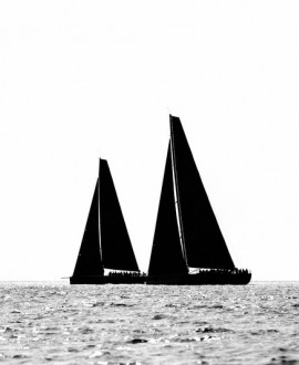 Sailing Silhouettes - Andrea Francolini