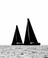 Sailing Silhouettes - Andrea Francolini