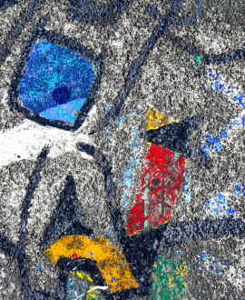 Miro sauvage - Daniel Allisy