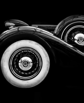 Packard Eight Profile - Samantha Roux