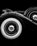 Packard Eight Profil - Samantha Roux