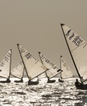 Finn Fleet - Jean-Marie Liot