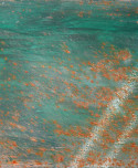 A Fleur(s) d'Eau - Daniel Allisy