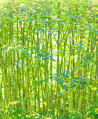 Forêt Primaire - Daniel Allisy