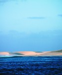 Dune 7 - Bernard Testemale