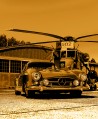 Seeking Gullwing - Johan Vandenberghe